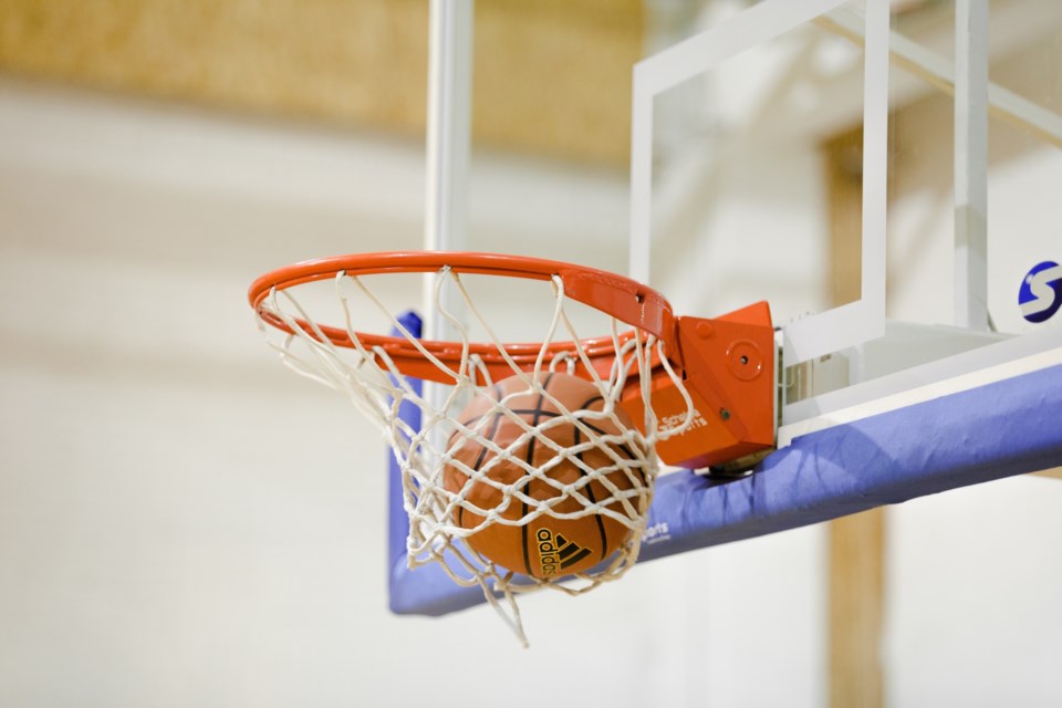 basketball and net 2016